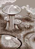 Cité champignons
